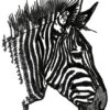 Broderie image big zebre